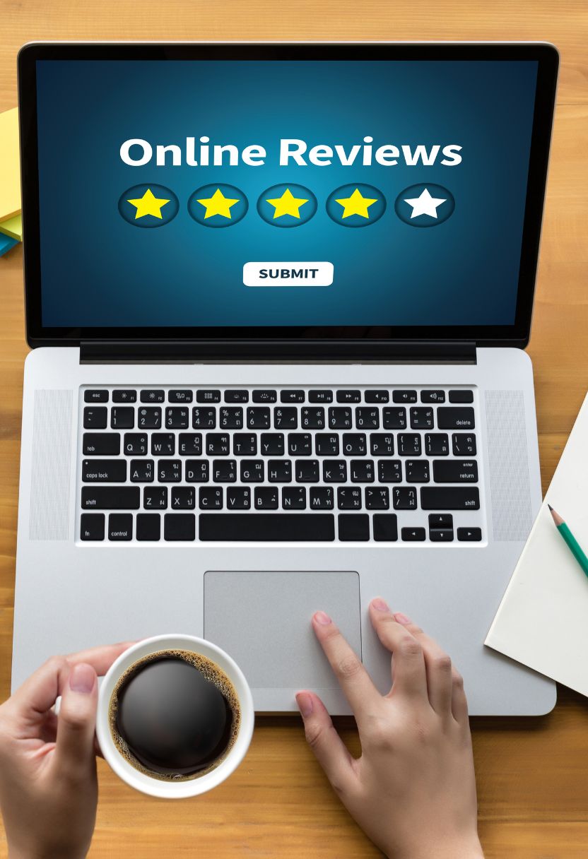 The Role of Expert Opinions and Professional Reviews